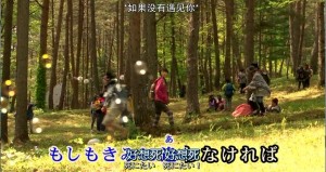 桃花期